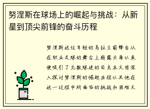 努涅斯在球场上的崛起与挑战：从新星到顶尖前锋的奋斗历程