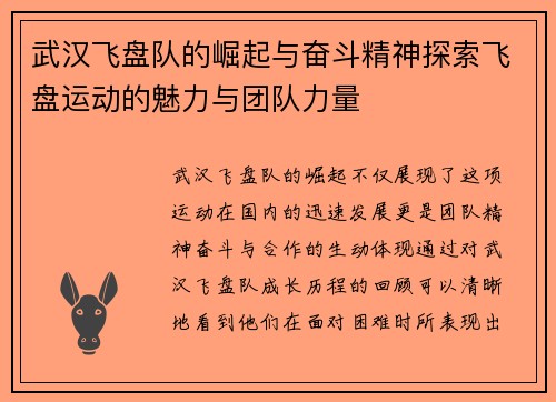 武汉飞盘队的崛起与奋斗精神探索飞盘运动的魅力与团队力量